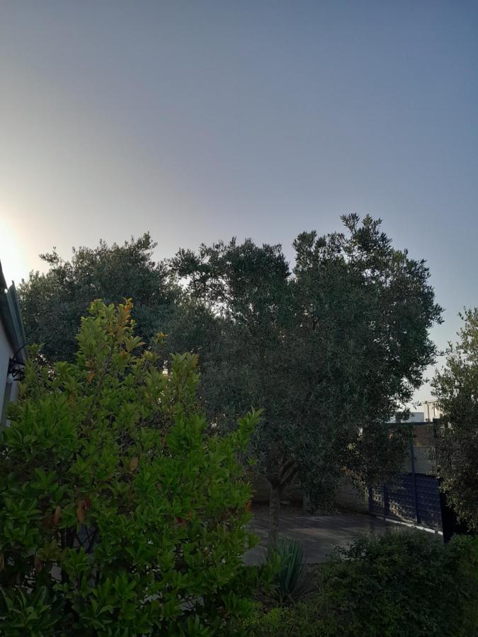 Garden Beach House Hamallaj Esterno foto